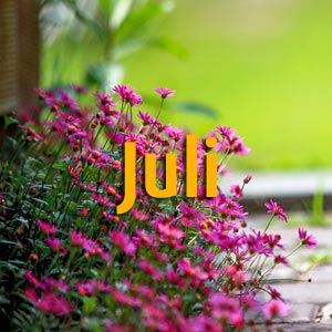 Gartentipps für Juli